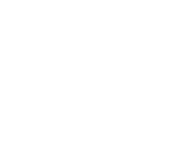 BP Importados Logo