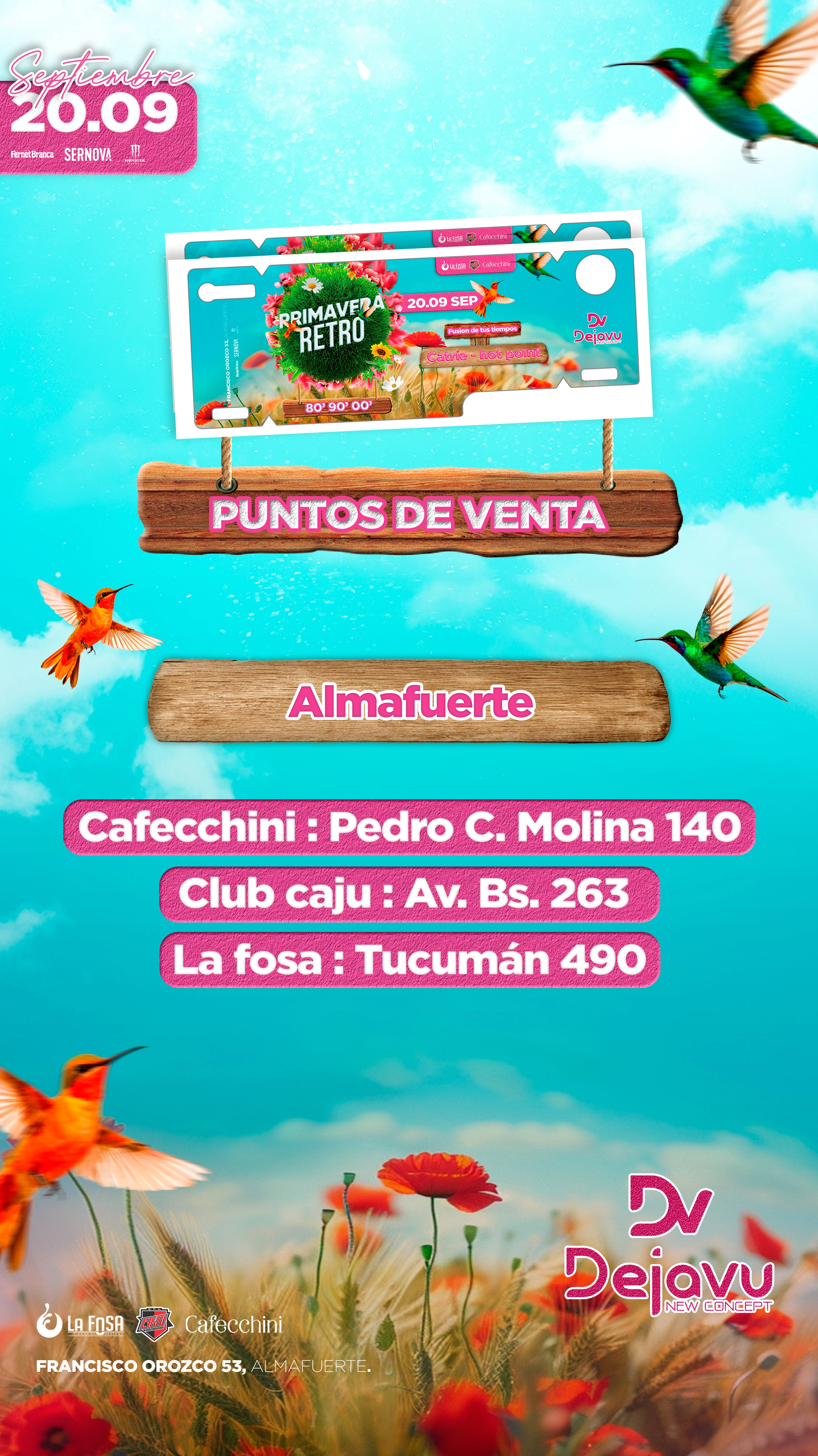 Feed de Instagram de DV