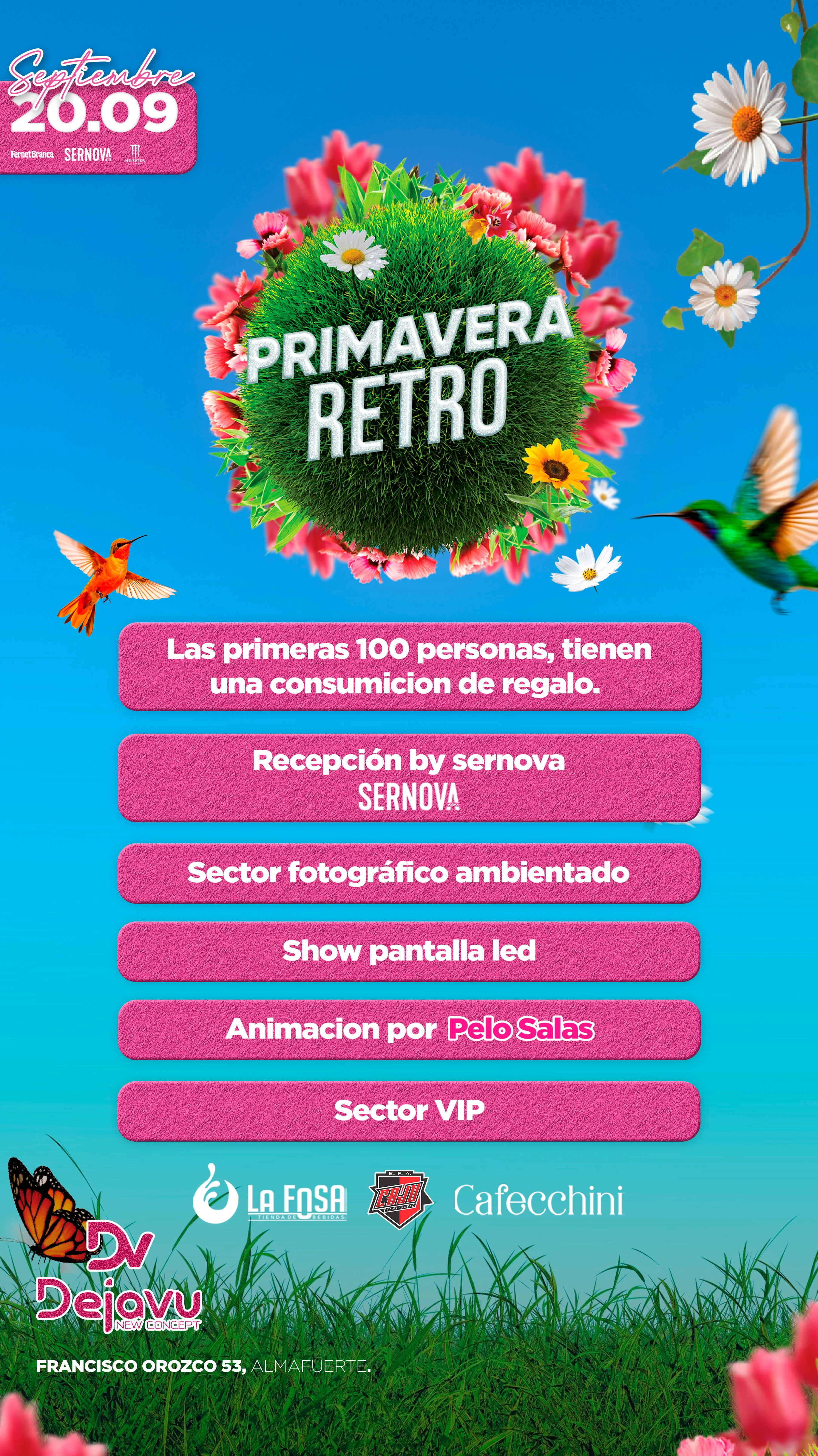 Feed de Instagram de DV