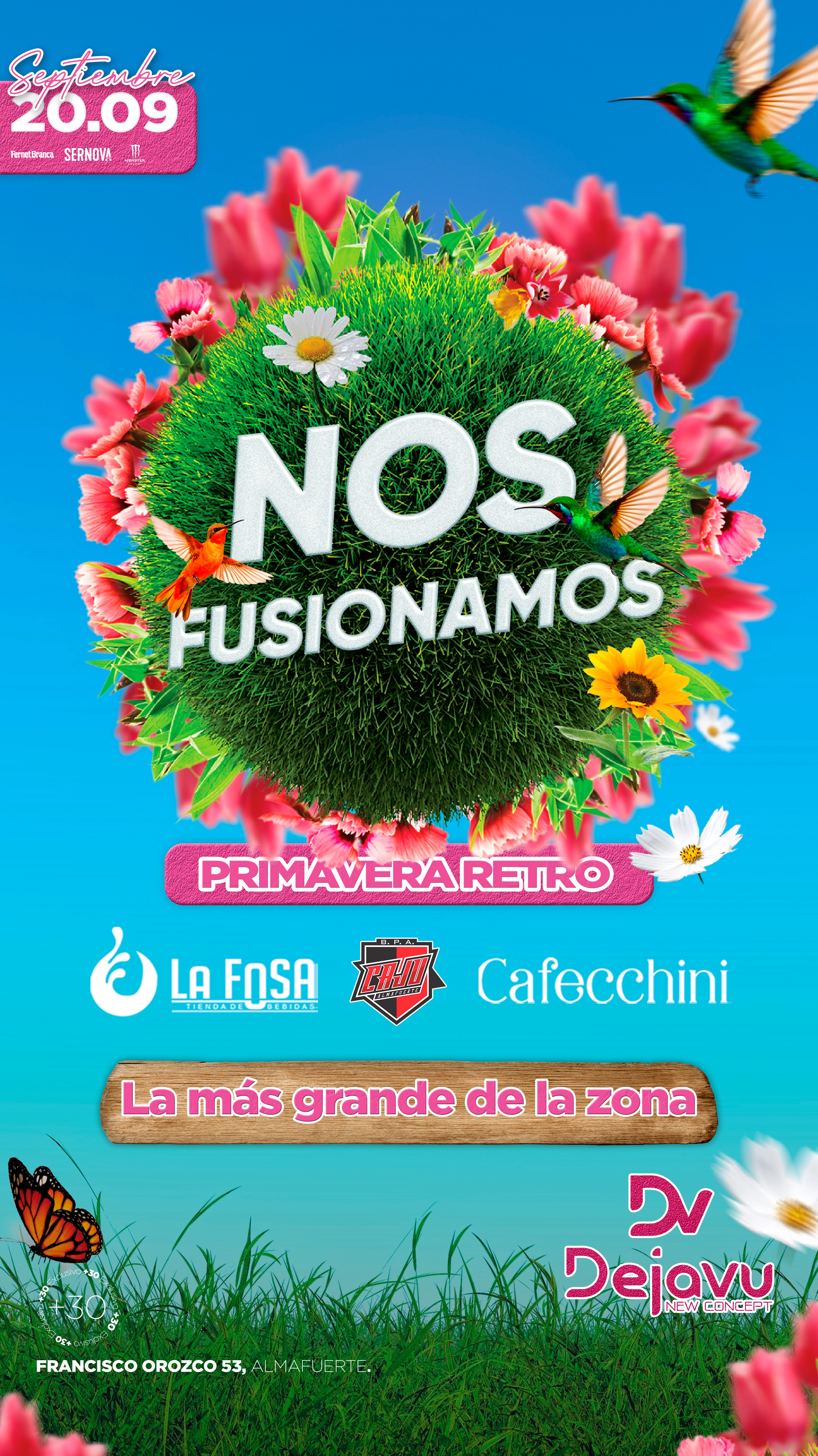 Feed de Instagram de DV