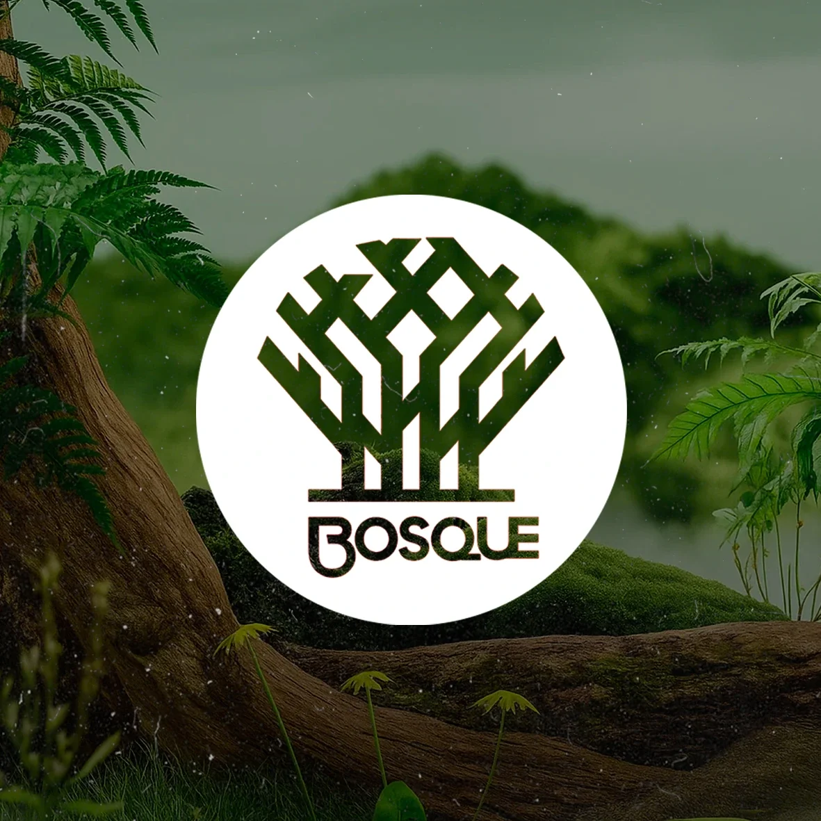 Feed de Instagram de Bosque