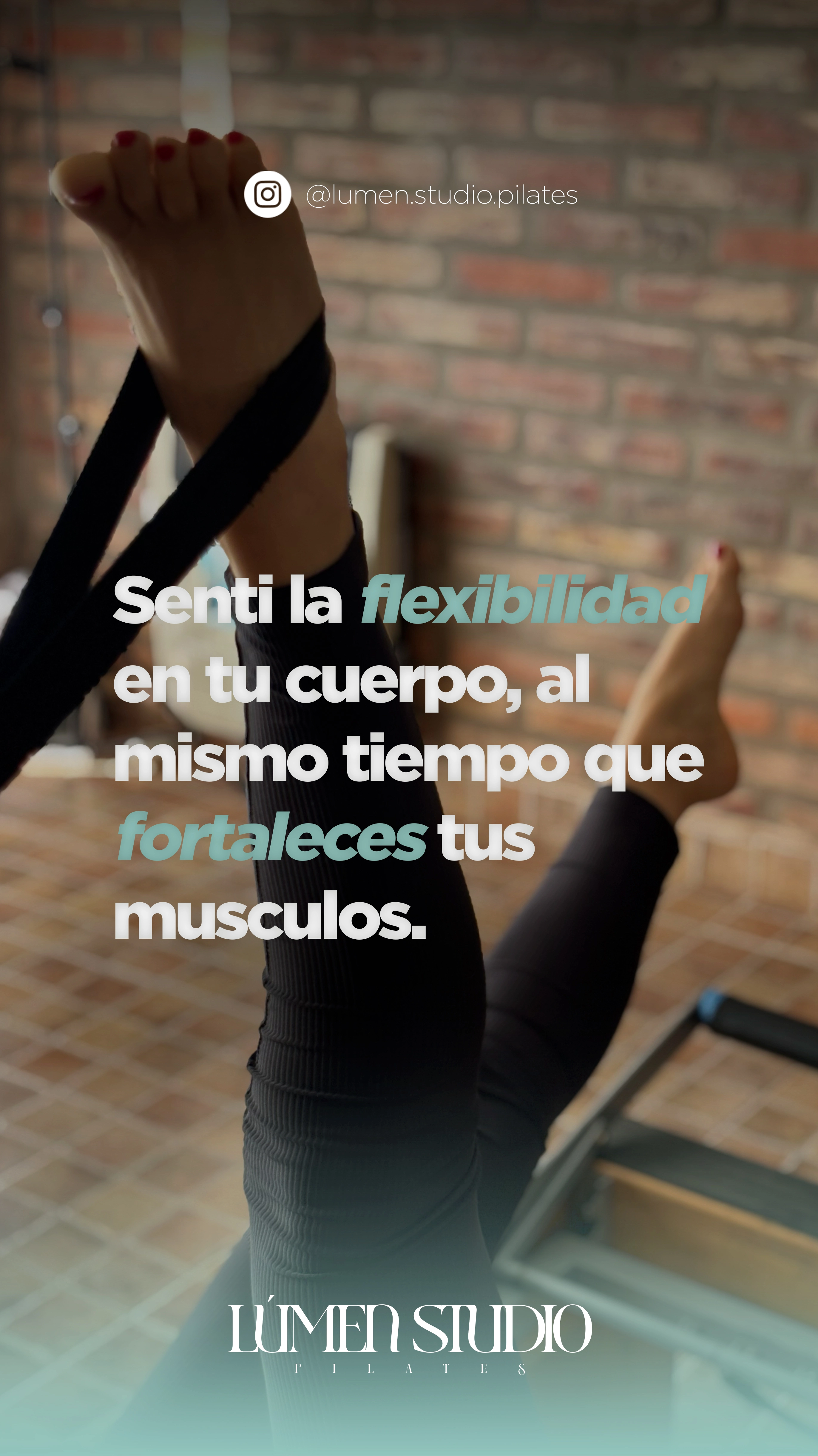 Feed de Instagram de Lumen Studio