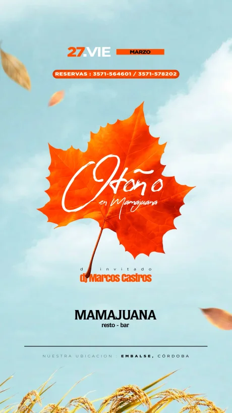 Feed de Instagram de Mamajuana