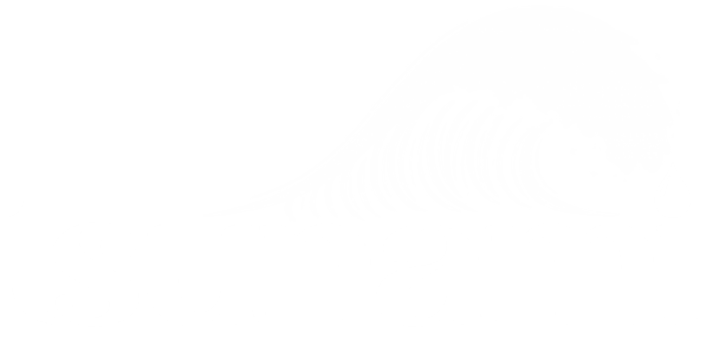Tsunami Logo