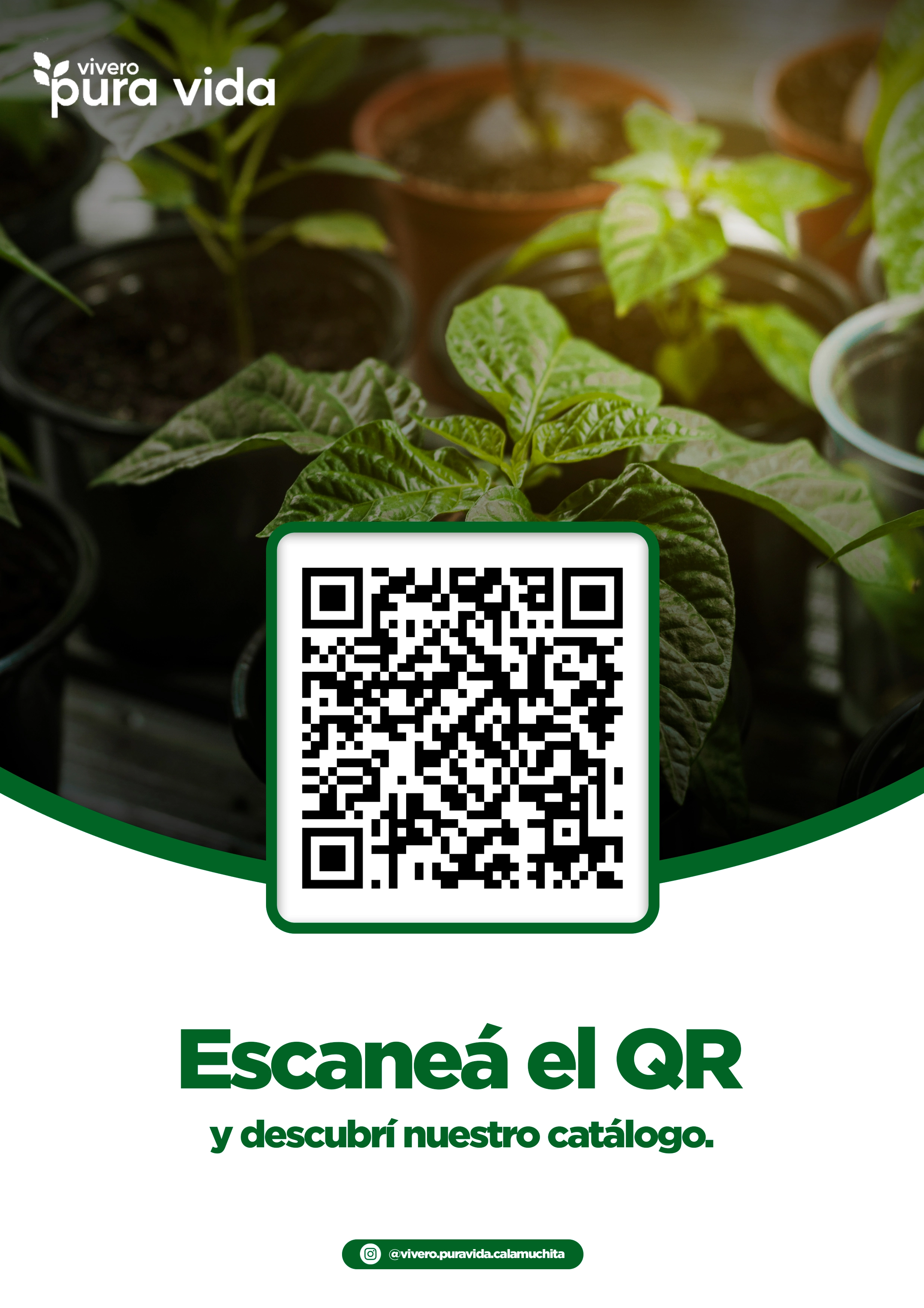 Feed de Instagram de Vivero Pura Vida