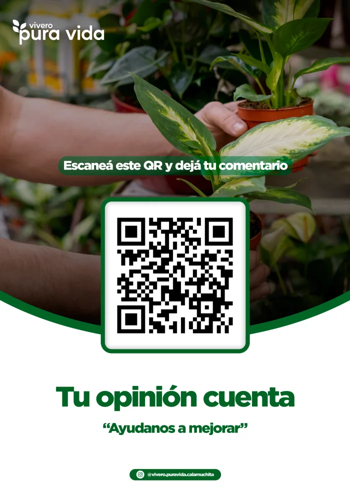Feed de Instagram de Vivero Pura Vida