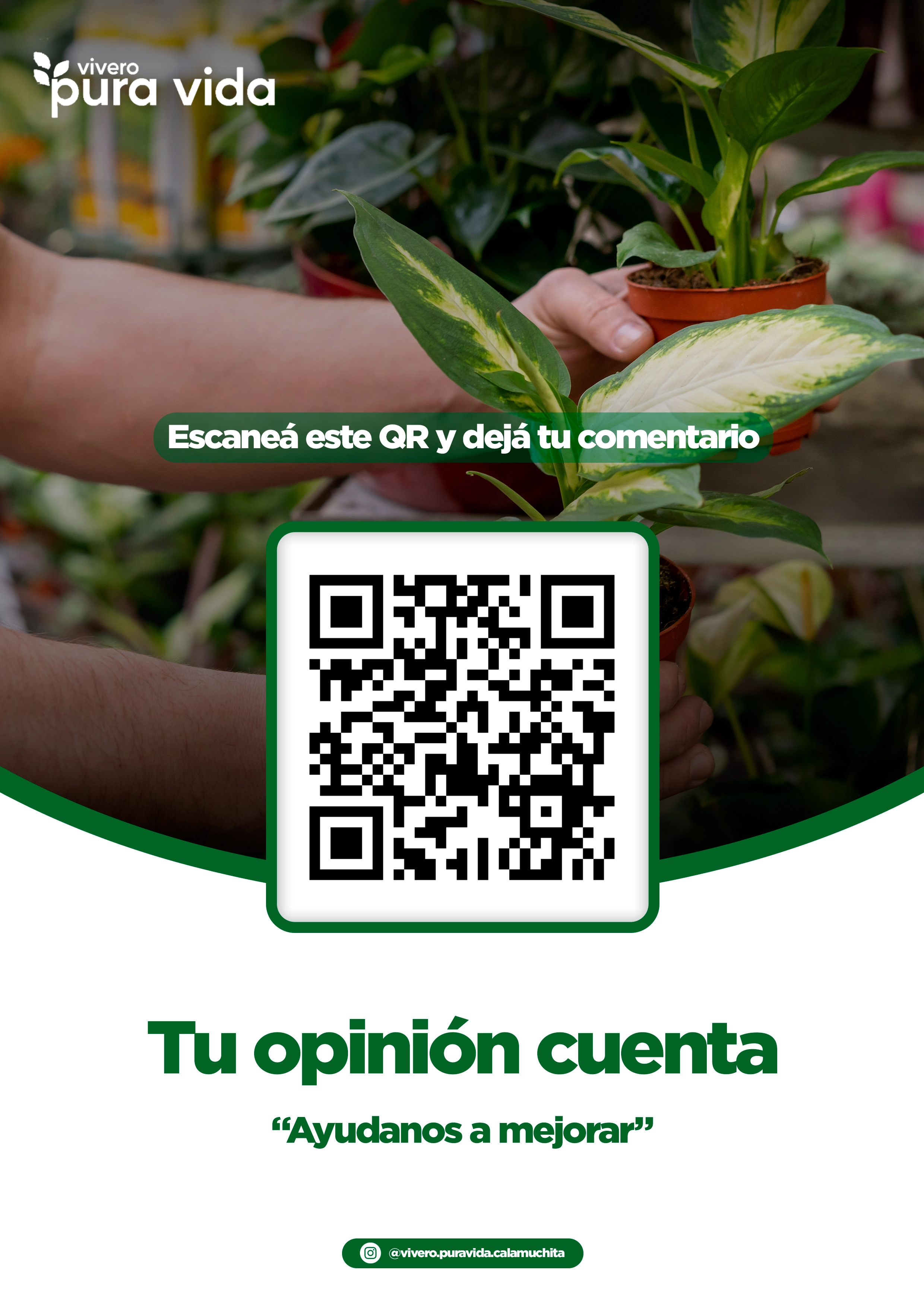 Feed de Instagram de Vivero Pura Vida